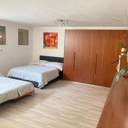Studio 1 1/2 Contone Екстер'єр фото