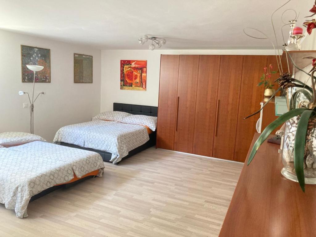 Studio 1 1/2 Contone Екстер'єр фото